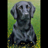 F&S Gift Store Dog painting custom portrait, Dog Art - oil painting on canvas. 50% DEPOSIT. Handmade Custom pet portrait.