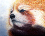 Personalized Oil Painting From Photos, handcraft art on Canvas-Show Case EMD101156-12