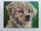 F&S Gift Store Custom Dog portrait oil painting custom pet lover gift Commission dog painting Golden retriver portrait painting custom animal painting dogs