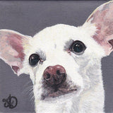 F&S Gift Store Gift idea for doglover pet owner, Pet portrait custom, Original painting for animal hospital customers, pet groomer vet dog sitter boarder