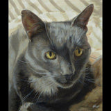 F&S Gift Store Pet portrait custom cat portrait painting - oil painting on canvas. 50% DEPOSIT. Handmade Custom pet portrait.