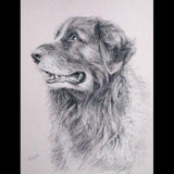 Personalized Oil Painting From Photos, handcraft art on Canvas-Show Case DHI102288-36