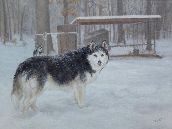 F&S Gift Store Dog Painting, Dog portrait, Pet portrait, Dog Art - oil painting on canvas. 50% DEPOSIT. Handmade Custom pet portrait.