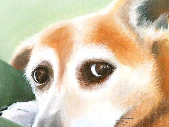 F&S Gift Store Pet Portrait Custom Cat Painting Dog Painting Cat Pet Memorial Pet Portrait Painting from photo colorful pop art hand painted