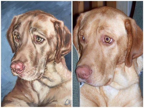 F&S Gift Store Custom dog portrait painting, DOG PAINTING CUSTOM, dog portrait funny gift, custom pet portrait canvas, animal portrait, hand painted canvas