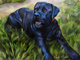 Personalized Oil Painting From Photos, handcraft art on Canvas-Show Case QCB101056-20