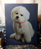 Personalized Oil Painting From Photos, handcraft art on Canvas-Show Case FLS101119-24