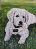 Personalized Oil Painting From Photos, handcraft art on Canvas-Show Case JPI102021-24