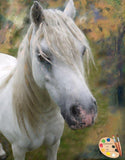 F&S Gift Store Custom Horse Pet Portrait From Your Photos