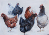 F&S Gift Store CUSTOM Turkey Oil Painting - Birthday Present, Paper Anniversary Farm Animal Artwork Portraits