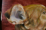 F&S Gift Store Custom animal portrait pet oil painting