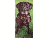 F&S Gift Store Custom dog portrait - your dog in oils or acrylics