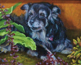 F&S Gift Store Custom dog portrait - your dog in oils or acrylics