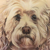 F&S Gift Store spaniel portrait painting custom drawing