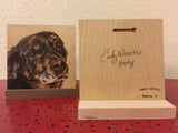 Personalized Oil Painting From Photos, handcraft art on Canvas-Show Case GCL102517-24