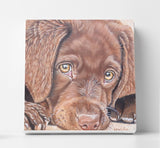 Personalized Oil Painting From Photos, handcraft art on Canvas-Show Case RIO101676-12