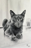 F&S Gift Store Cat painting realistic Pet painting Oil Art portrait from photo Cat painting original Custom pet painting Realism art portrait Gift for wife