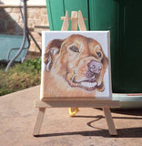 F&S Gift Store Miniature paintings, Custom portraits, Mini pet painting, Custom dog portrait, Custom cat portrait, unique gifts, Personalized gift