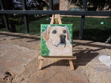 F&S Gift Store Miniature paintings, Custom portraits, Mini pet painting, Custom dog portrait, Custom cat portrait, unique gifts, Personalized gift