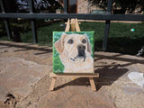Personalized Oil Painting From Photos, handcraft art on Canvas-Show Case RDI101987-12