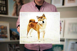 Personalized Oil Painting From Photos, handcraft art on Canvas-Show Case TPK101867-48