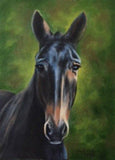 Personalized Oil Painting From Photos, handcraft art on Canvas-Show Case HJG101045-36