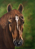 F&S Gift Store Custom Pet Painting, pet portraits, dogs, cats, birls, animals, memories, gifts, horses, collectibles, oils, pet lovers, pet memorials