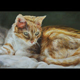 F&S Gift Store Cat portrait Custom Pet portrait, Cat Painting - oil painting on canvas. 50% DEPOSIT. Handmade Custom pet portrait.