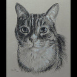 Personalized Oil Painting From Photos, handcraft art on Canvas-Show Case AKL100389-72