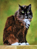 Personalized Oil Painting From Photos, handcraft art on Canvas-Show Case OSO100575-12