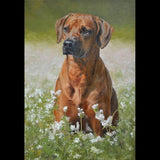 Personalized Oil Painting From Photos, handcraft art on Canvas-Show Case FLK100729-48