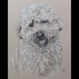 Personalized Oil Painting From Photos, handcraft art on Canvas-Show Case LBS101199-72
