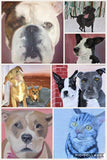 F&S Gift Store Custom Pet Portrait, oil on wooden or cotton canvas, made to order