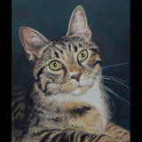 Personalized Oil Painting From Photos, handcraft art on Canvas-Show Case IKH102255-24