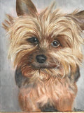 Personalized Oil Painting From Photos, handcraft art on Canvas-Show Case LEH101256-48