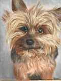 F&S Gift Store Custom pet portraits in oil - Great gifts for birthday or commemorative occasions