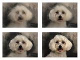 Personalized Oil Painting From Photos, handcraft art on Canvas-Show Case FSH100829-36