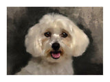 Personalized Oil Painting From Photos, handcraft art on Canvas-Show Case FSH100829-36