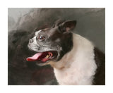 F&S Gift Store Custom made Pet Portrait, An unique gift for pet lovers, Pet cat portrait, Custom dog portrait, Custom pet painting