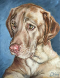Personalized Oil Painting From Photos, handcraft art on Canvas-Show Case EID100687-24