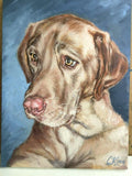 F&S Gift Store Custom dog portrait painting, DOG PAINTING CUSTOM, dog portrait funny gift, custom pet portrait canvas, animal portrait, hand painted canvas