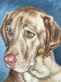 F&S Gift Store Custom dog portrait painting, DOG PAINTING CUSTOM, dog portrait funny gift, custom pet portrait canvas, animal portrait, hand painted canvas