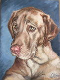 Personalized Oil Painting From Photos, handcraft art on Canvas-Show Case EID100687-24