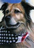 F&S Gift Store Custom Pet Portraits - 12x16 Oil painting on Masonite 50% deposit - Patterson