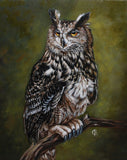F&S Gift Store Owl oil painting on canvas, Filin portrait, Animals Painting, Custom pet portrait, Pets oil portrait from photo, Bird painting, Wall art