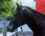 F&S Gift Store Custom Painted Equine Portraits - Horse and Rider Portrait - Horse Painting from your Photo - Portraits by NC