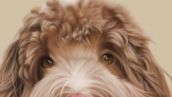 F&S Gift Store Custom portrait, digital drawing, art print, painting, digital portrait, wallpaper, custom pencil portrait, original, drawing, personalized