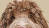 F&S Gift Store Custom portrait, digital drawing, art print, painting, digital portrait, wallpaper, custom pencil portrait, original, drawing, personalized