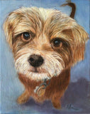 F&S Gift Store Custom pet portraits in oil - Great gifts for birthday or commemorative occasions