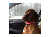 Personalized Oil Painting From Photos, handcraft art on Canvas-Show Case FEB102573-48